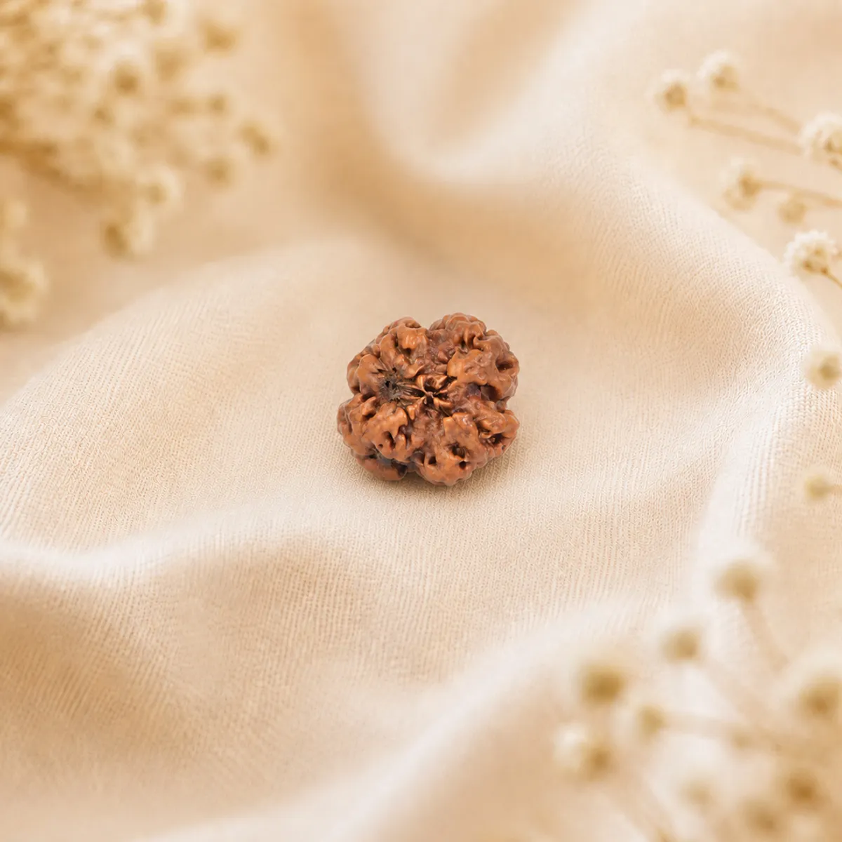 4 Mukhi Rudraksha